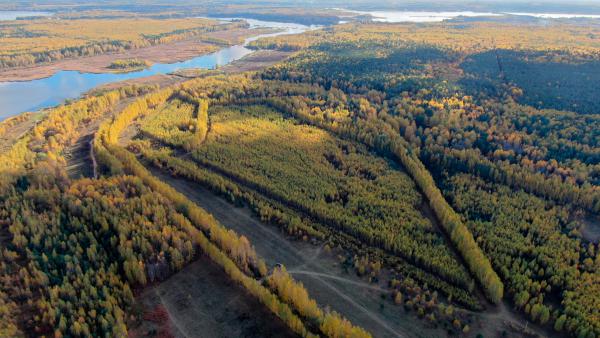 Приобретен земельный участок в Тверской области